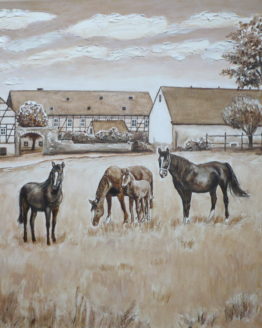 Bauernhof +Pferde